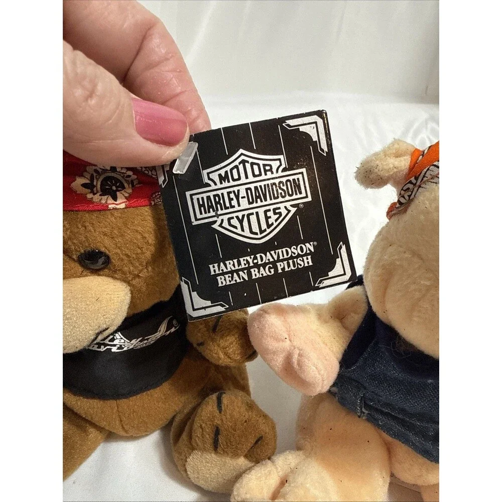 N/A bear punky